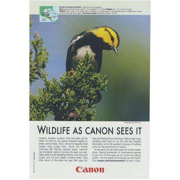 2010 Canon Camera Photography Full Page Print Ad Original Golden Checked Warber - Picture 1 of 1